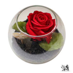 single_rose_glass